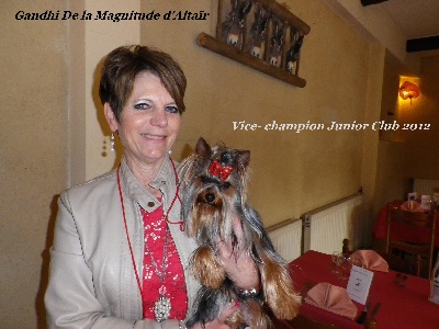 de la Magnitude d'Altaïr - Gandhi, Vice-champion Junior Club 2012!!!