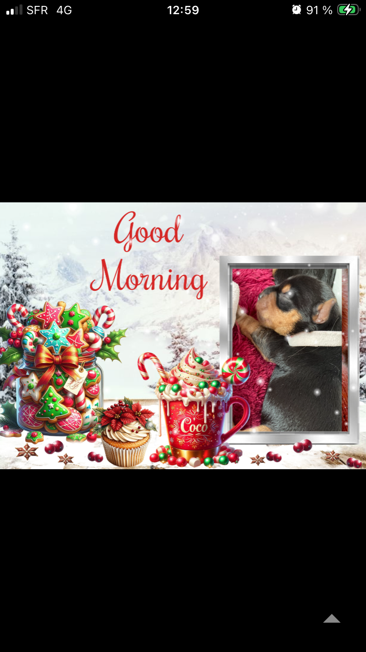 Joli bébé garçon disponible