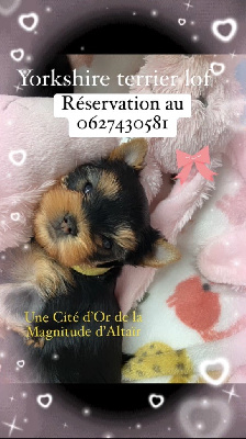 Une Citée d Or
